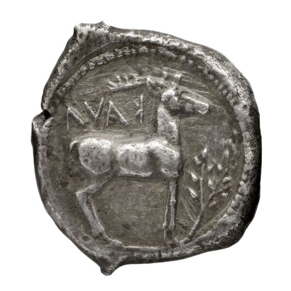 Caulonia Historia Numorum Italy 2046, реверс, bnf-iris