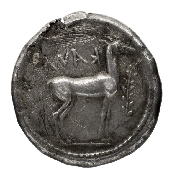 Caulonia Historia Numorum Italy 2046, реверс, bnf-iris