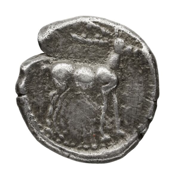 Caulonia Historia Numorum Italy 2047, реверс, bnf-iris