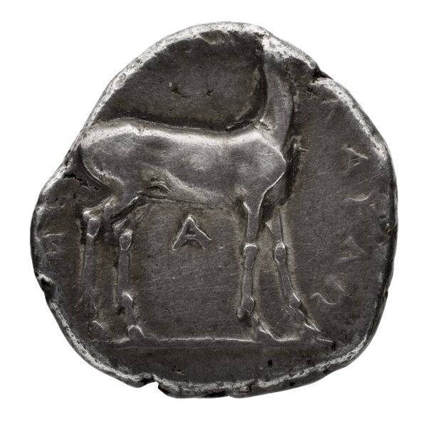 Caulonia Historia Numorum Italy 2061, реверс, bnf-iris