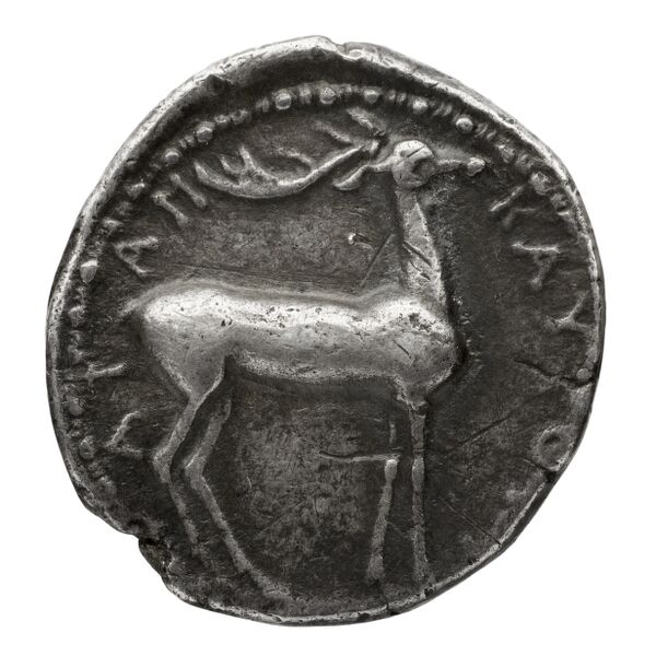 Caulonia Historia Numorum Italy 2049, реверс, bnf-iris