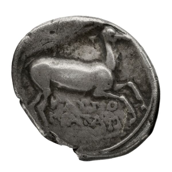 Caulonia Historia Numorum Italy 2049, реверс, bnf-iris