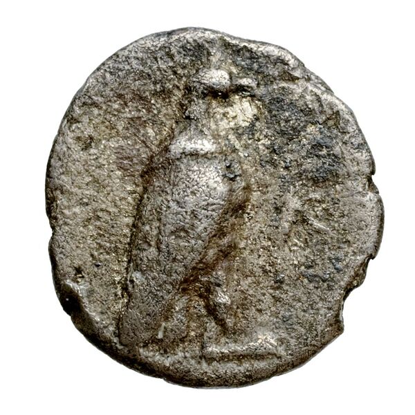 Locri Epizephyrii Historia Numorum Italy 2332-2333, аверс, BnF (IRIS)