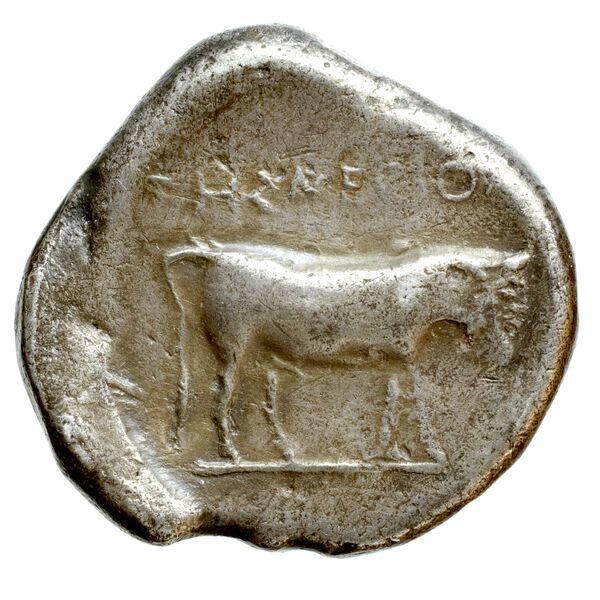 Neapolis Historia Numorum Italy 554, реверс, bnf-iris