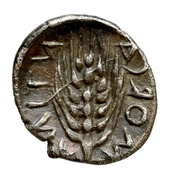 Morgantina Erim 1989 issue1, реверс, BnF (IRIS)