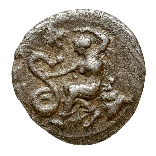 Selinus SNG ANS 711-712, аверс, bnf-iris