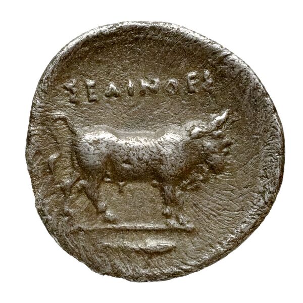 Selinus SNG ANS 711-712, реверс, bnf-iris