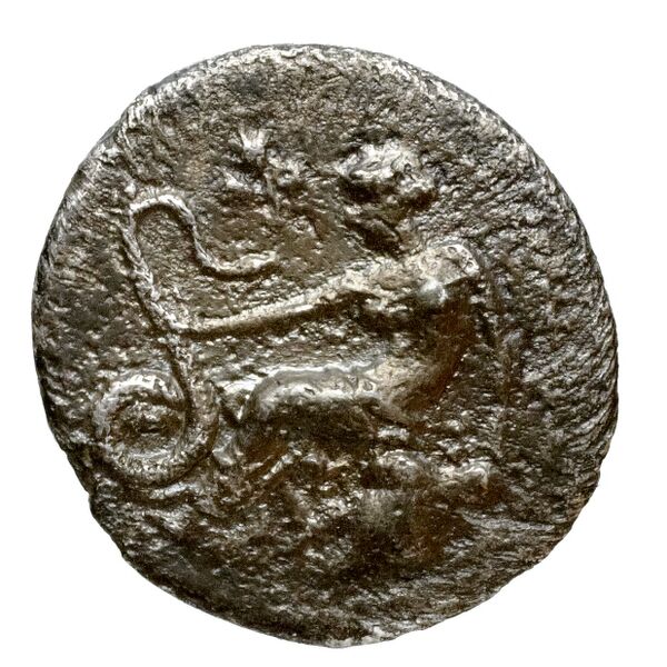 Selinus SNG ANS 711-712, аверс, bnf-iris