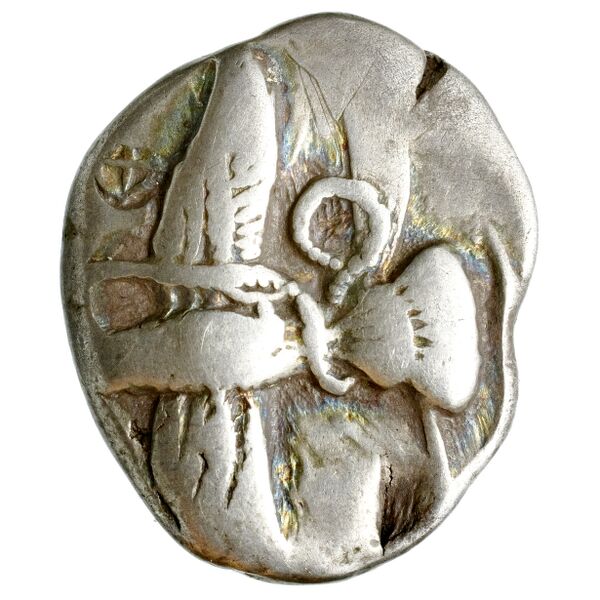 аверс Elis Seltman 1921 C. 75-76, 81, 87-90, 93-95, 123-124, Pl. VIII.13
