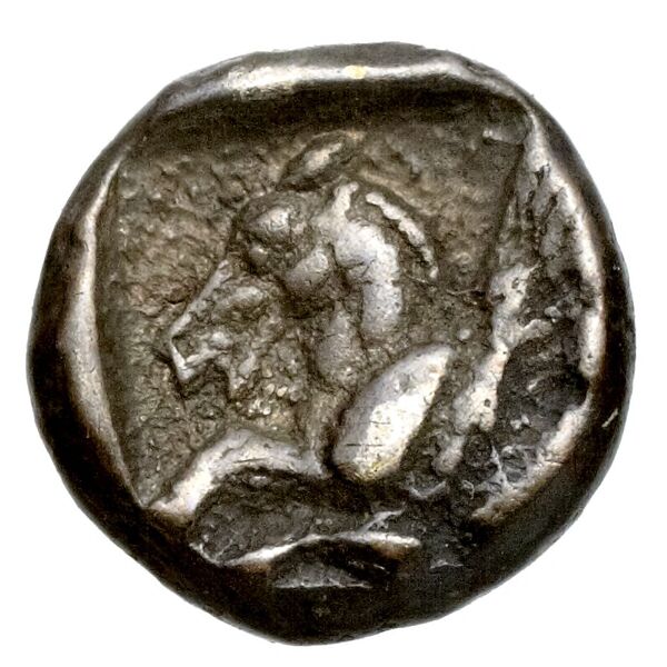 Celenderis Babelon 1910 1461, реверс, bnf-iris