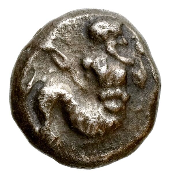 Aradus Elayi 2015 Pl. xiii, c1-5, аверс, bnf-iris