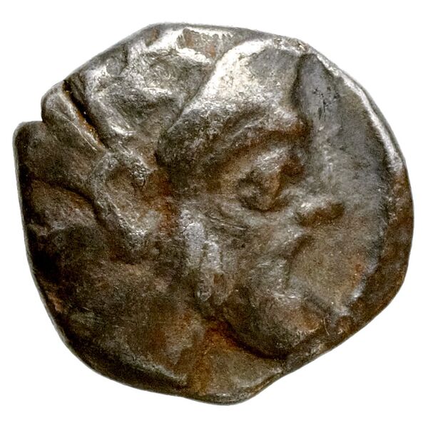Aradus Elayi 2015 Pl. xiv, c17-20, аверс, bnf-iris