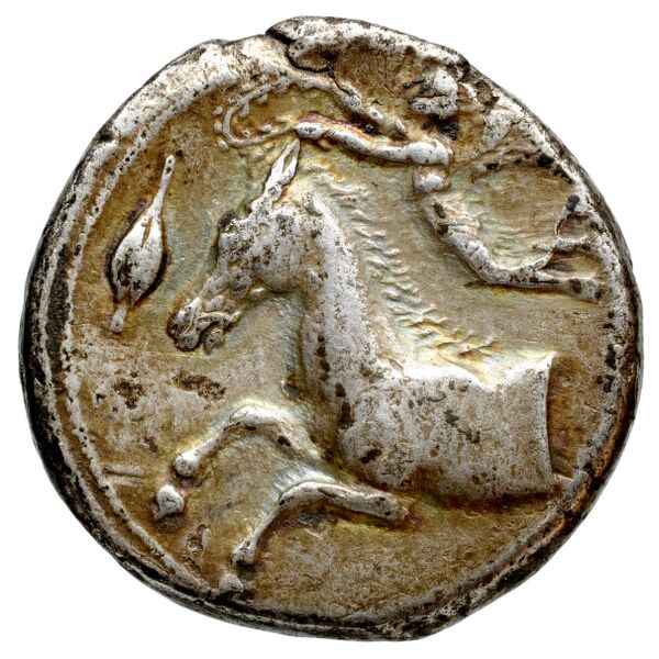 Carthaginian Empire Carthage Jenkins 1974 Carthage series 1, 1-37, аверс, BnF (IRIS)