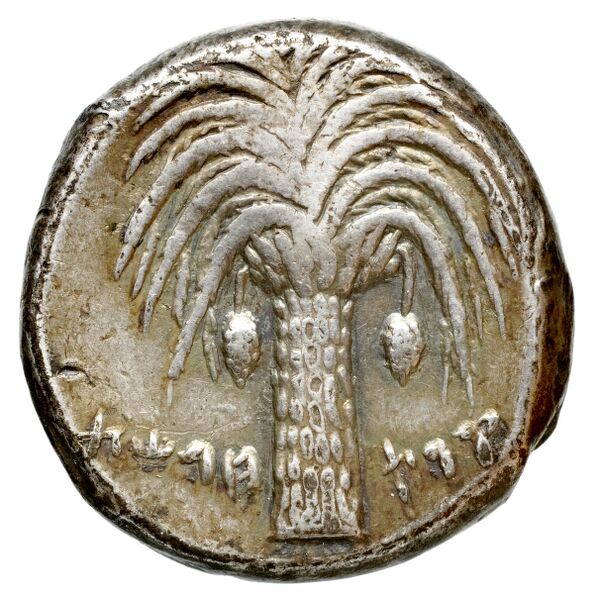 Carthaginian Empire Carthage Jenkins 1974 Carthage series 1, 1-37, реверс, BnF (IRIS)