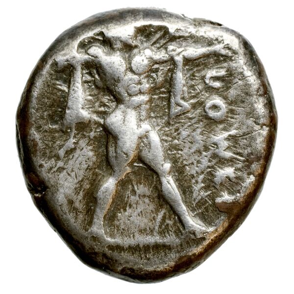 Poseidonia Historia Numorum Italy 1114, аверс, BnF (IRIS)