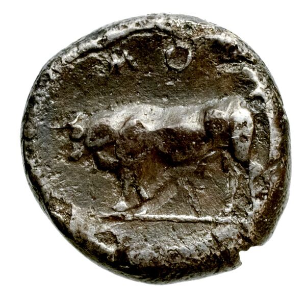Poseidonia Historia Numorum Italy 1119, реверс, BnF (IRIS)