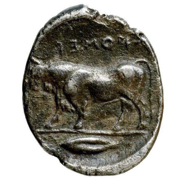 Poseidonia Historia Numorum Italy 1119, реверс, BnF (IRIS)