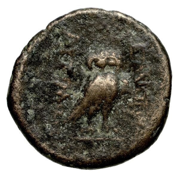 Lebedus Kinns 1980 Period III, AE 11, реверс, bnf-iris