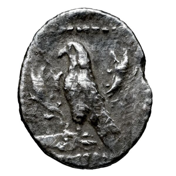Cilicia SNG Levante 229, реверс, bnf-iris