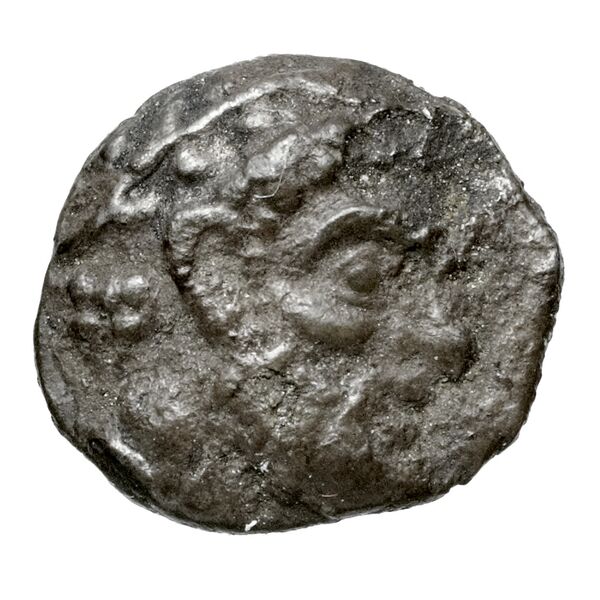 Aradus Elayi 2015 Pl. xiv, c17-20, аверс, bnf-iris
