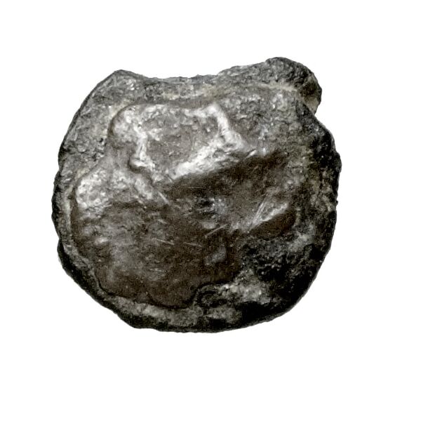 Aradus Elayi 2015 Pl. xv, c28, аверс, bnf-iris