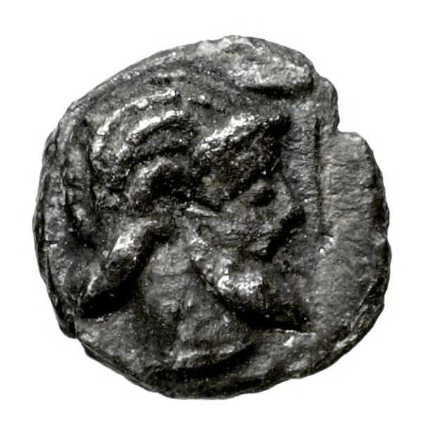 Aradus Elayi 2015 Pl. xv, c28, аверс, bnf-iris