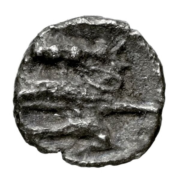 Aradus Elayi 2015 Pl. xv, c28, реверс, bnf-iris