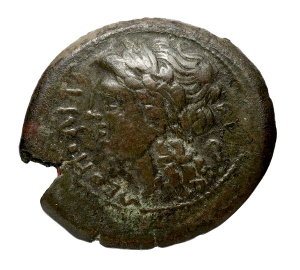 Neapolis Historia Numorum Italy 589, аверс, bnf-iris