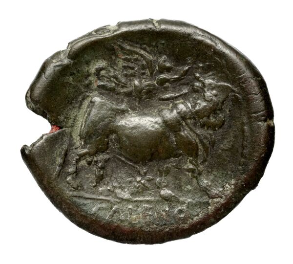 Neapolis Historia Numorum Italy 589, реверс, bnf-iris