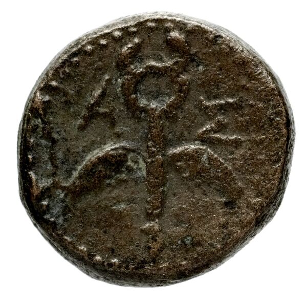 Ascalon BMC Ascalon 39-40, реверс, bnf-iris