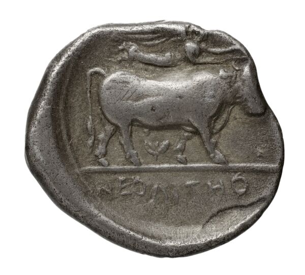 Neapolis Historia Numorum Italy 552, реверс, bnf-iris