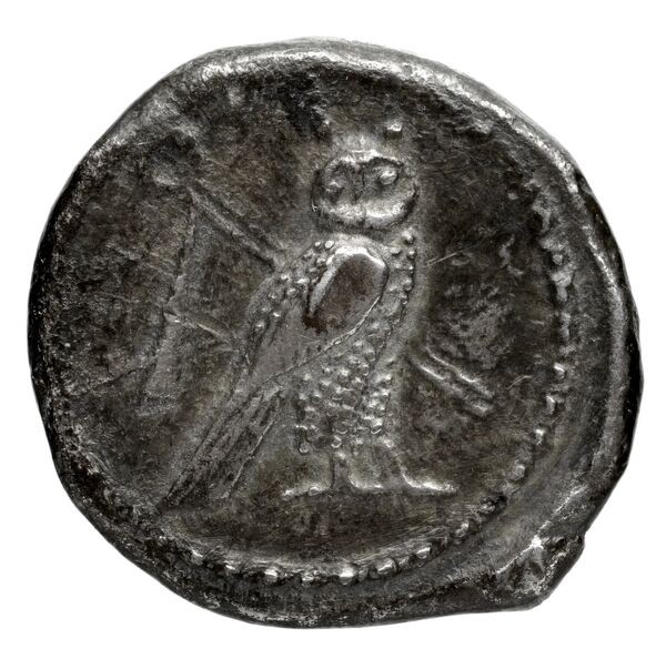 Tyre Elayi 2009 II.1.1.1, реверс, bnf-iris