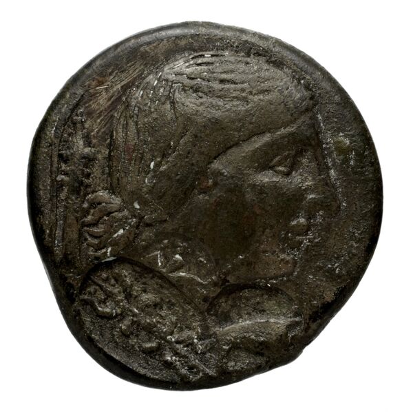 аверс Chersonesus, Tauric Anokhin 2011 705-10