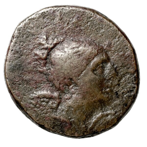 Deiotarus of Galatia Galatia BMC Deiotarus 1, аверс, BnF (IRIS)