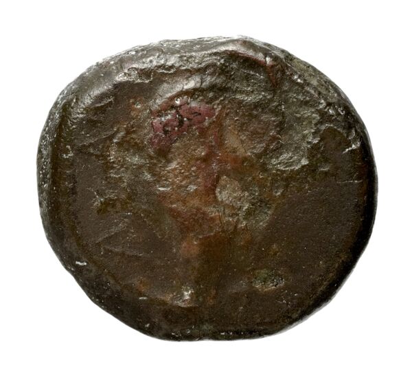obverse Salapia Historia Numorum Italy 689