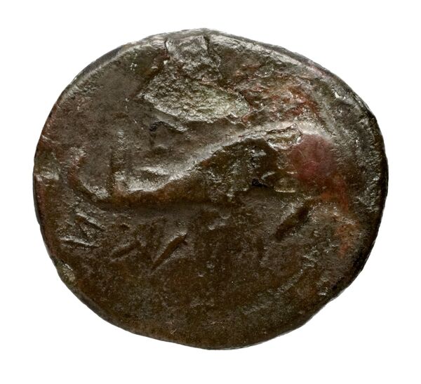 реверс Salapia Historia Numorum Italy 689