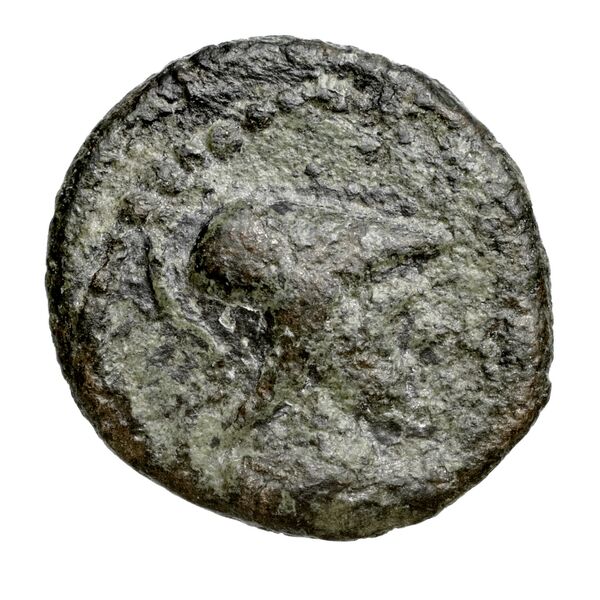 Aegeae Bloesch 1982 Period 4C.173-89, аверс, bnf-iris