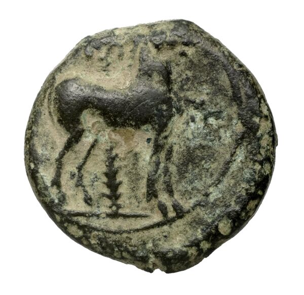 реверс Carthaginian Empire Carthage Alexandropoulos 2007 18