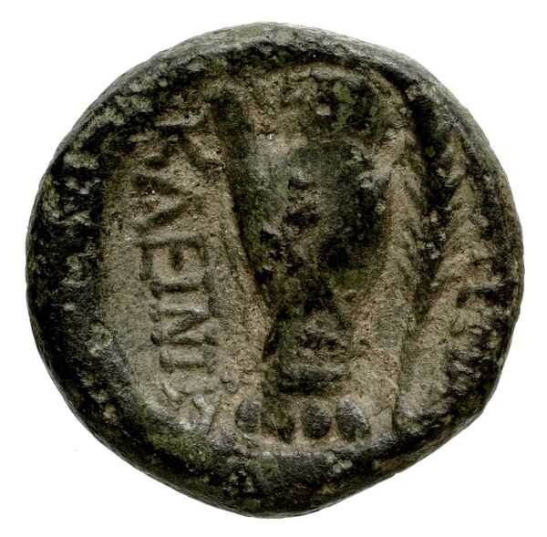 Smyrna Milne 1928 Period XVII L, реверс, bnf-iris