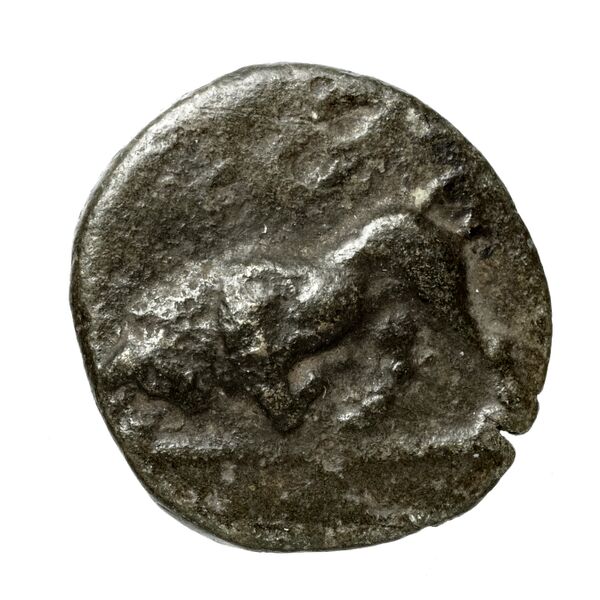 Phlius BMC Phlius 13-7, аверс, bnf-iris