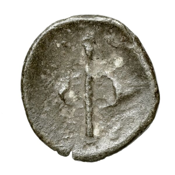 Phlius BMC Phlius 13-7, реверс, bnf-iris