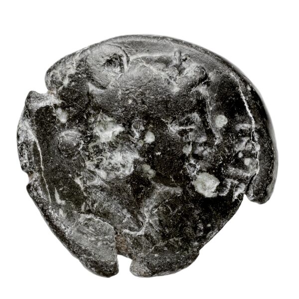 Neapolis AMNG III.2 17-20, реверс, BnF (IRIS)