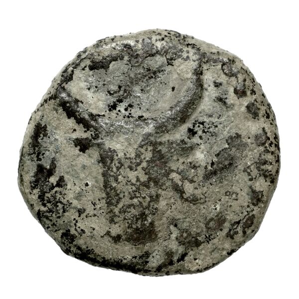 Polyrhenium Stefanakis 2013 43-49, аверс, bnf-iris