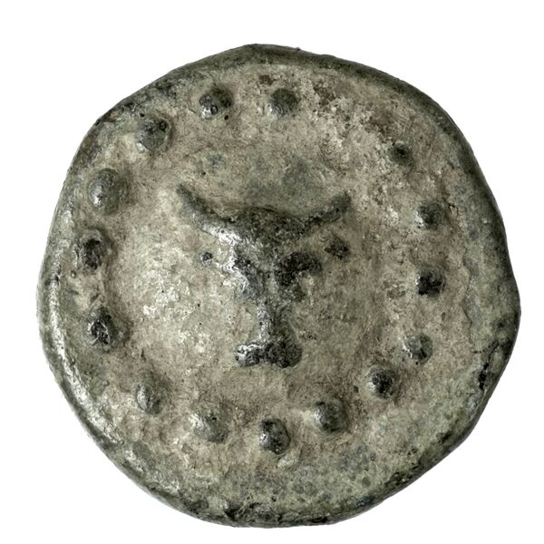 Polyrhenium Stefanakis 2013 58-101, аверс, bnf-iris