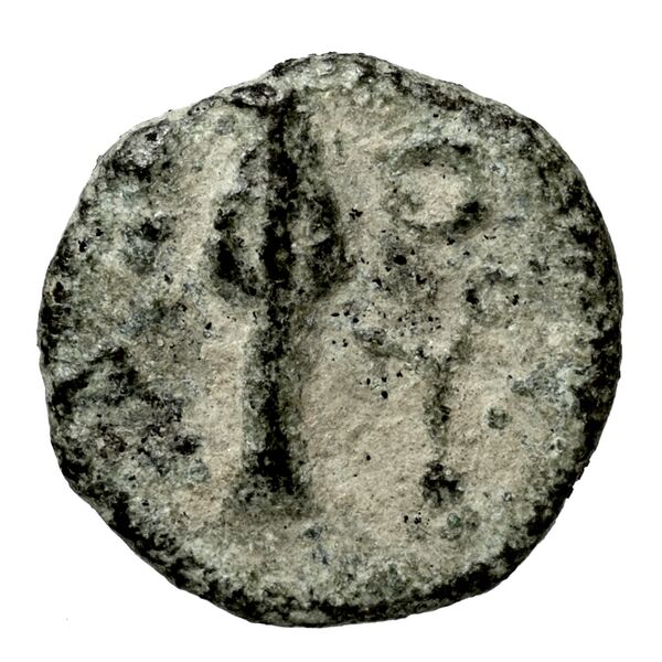 Polyrhenium Stefanakis 2013 58-101, реверс, bnf-iris