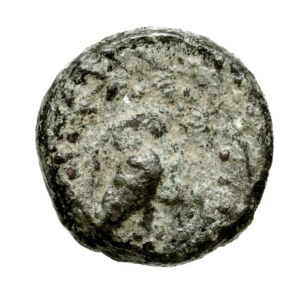 Polyrhenium Stefanakis 2013 127, реверс, bnf-iris
