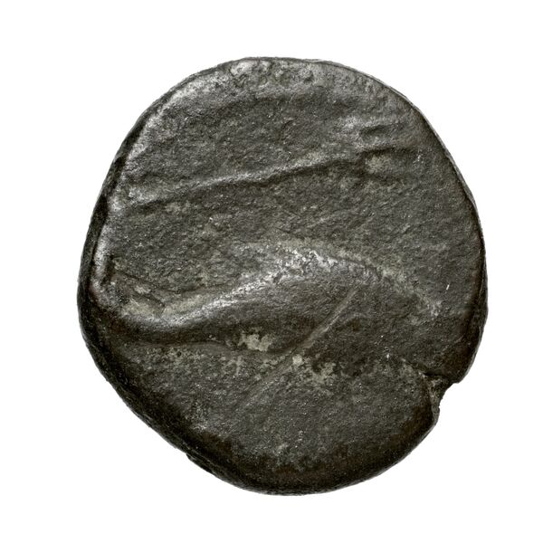 Rhaucus Svoronos 1890 (1972) 5, 36-37, реверс, BnF (IRIS)