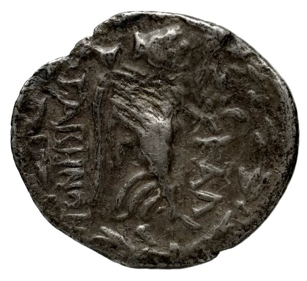 Amisus Waddington 1925 11, реверс, bnf-iris