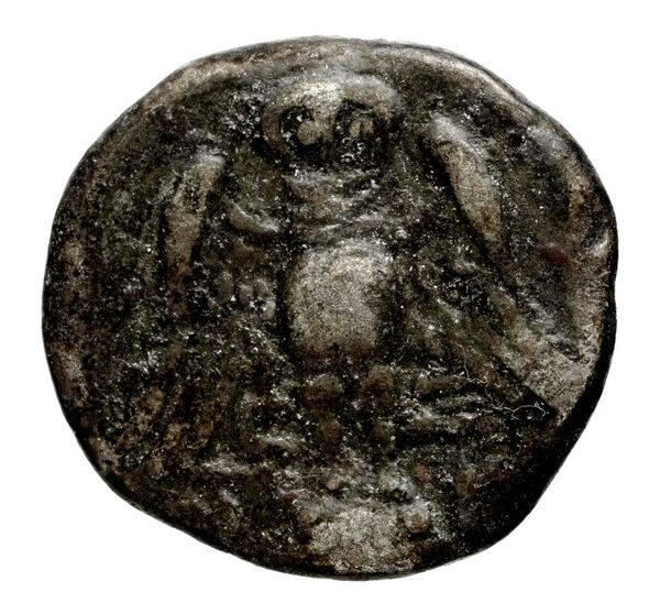 Amisus Waddington 1925 11, реверс, bnf-iris