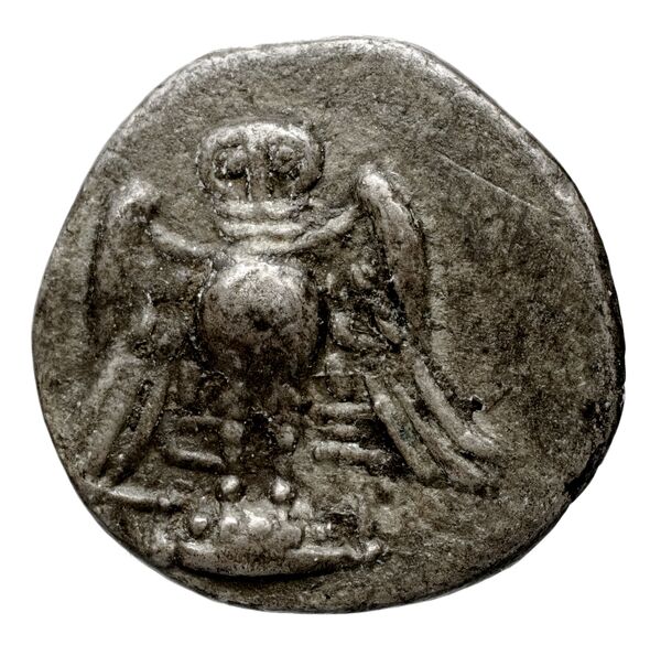 Amisus Waddington 1925 11, реверс, bnf-iris
